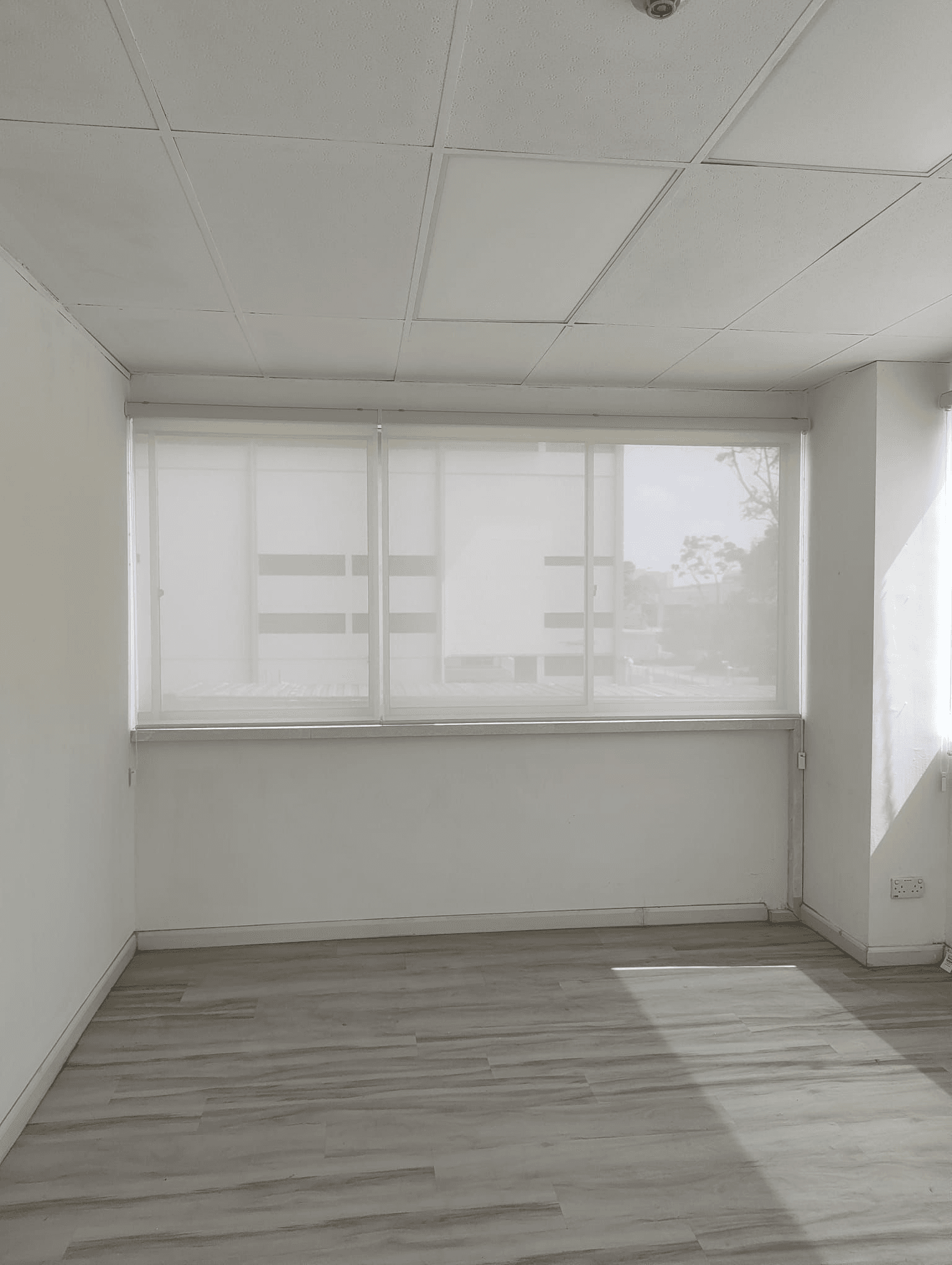 Perforated sunscreen roller blinds in a Tuas Avenue 11 office