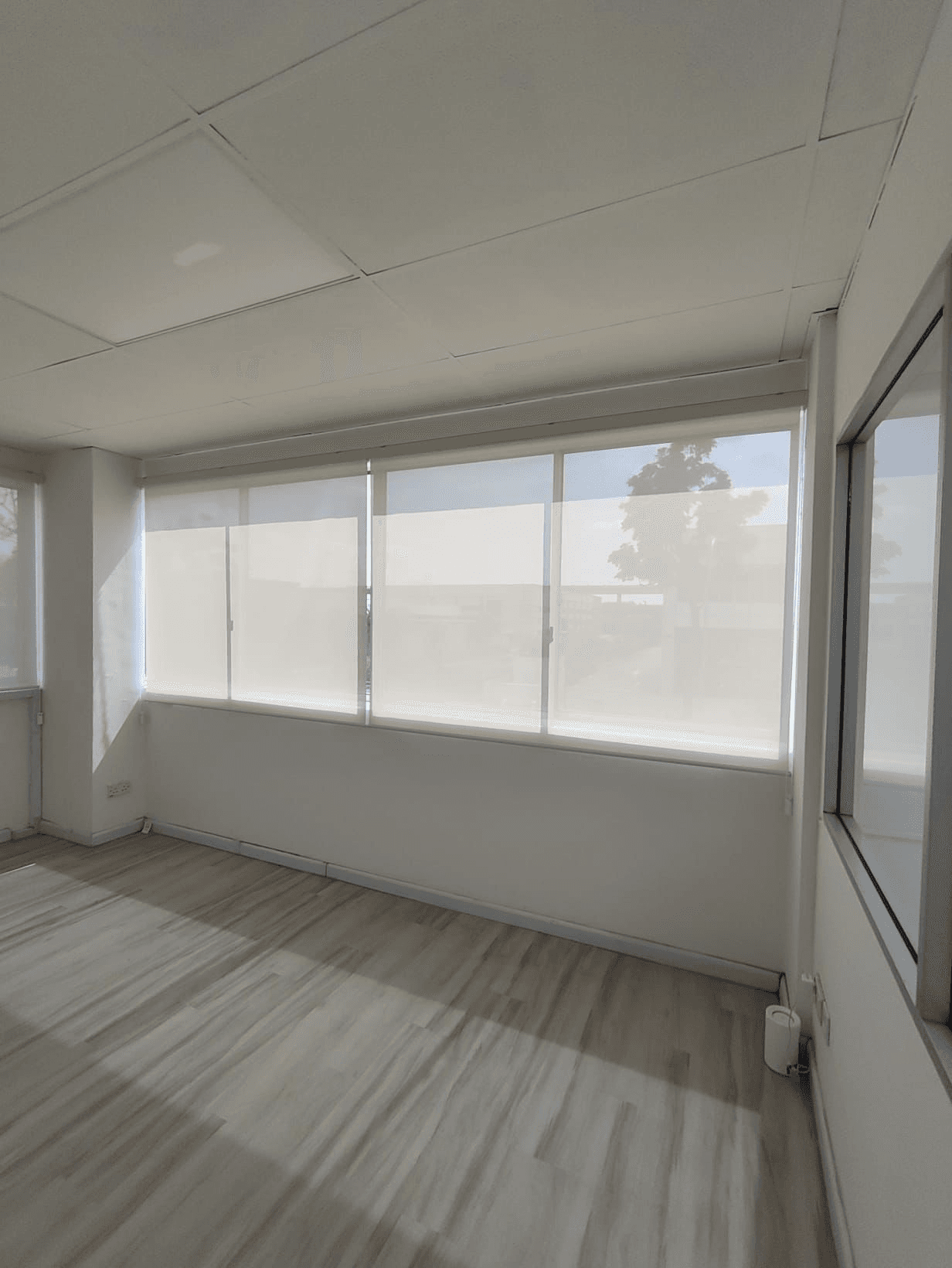 Perforated sunscreen roller blinds in a Tuas Avenue 11 office